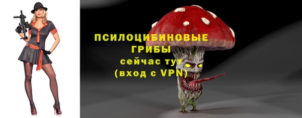 СК Козловка