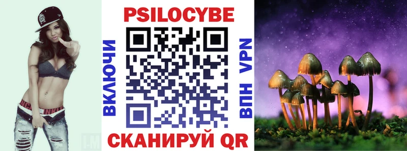 Псилоцибиновые грибы Psilocybine cubensis  Слюдянка 